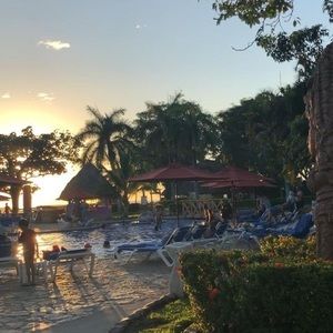 Meet your Posher, René